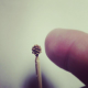 Illustration for article titled Japanese Miniature Art Dazzles All
